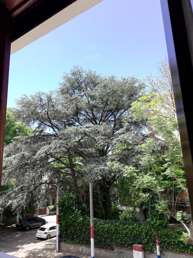 Private Room In Beautiful Home Montevideo Luaran gambar